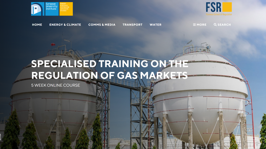 Specialised Training on the Regulation of Gas Markets – Florence School ...